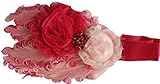 Fairy Wings ACCESSORY ベビー・ガールズ US サイズ: One Size カラー: ピンク