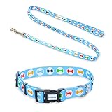 [LaLUCA GOODS] 犬 首輪 小型犬 中型犬 大型犬 リード セット おしゃれ かわいい 装着簡単 ワンタッチ着脱 速乾 水洗い ボーン S