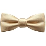 [Bowties.jp] ゴールド レザー 蝶ネクタイ ボウタイ 簡易装着タイプ bd406