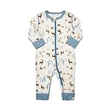 Celavi by Scandinavian Kidz SHIRT ベビー・ボーイズ US サイズ: 6 Months カラー: ブルー