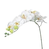 TINSKY 造花 オンシジウム 観花植物 ご家庭用 装飾用 （ホワイト）