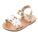 Annnowl ベビー・ガールズ US サイズ: M カラー: ゴールド