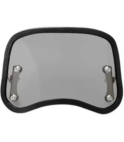 Amazon | スペシャルパーツ武川 メーターバイザーキット スモーク