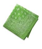 ガーゼハンカチ・ペイズリー柄（５色展開） (グリーン)