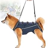 GIIPET-犬用介護ハーネス 犬 介護用ハーネス 歩行補助 老犬 けが 介護用品 脱着簡単 老犬/怪我/手術/快復中/病気 中型犬 小型犬 介護 服 脚 障害 リハビリ 散歩 胴輪 犬の前足と後ろ足の補助 お出かけ便利 (ネイビーブルー, XS(1.5-4kg))
