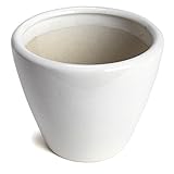 鉢 KANEYOSHI 陶器 13cm 4号 植木鉢 白 陶器