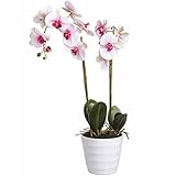 Hill Interiors Eternity Potted人工Orchid One Size ピンク UTHI2034_4