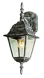 Transglobe Lighting 4411 RT Outdoor Wall Light with Beveled Glass Shade, Rust Finished [並行輸入品]