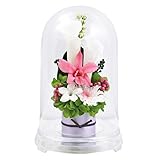 アートフォーシーズン お供え花カラー プリザーブドフラワー (ソフトピンク)