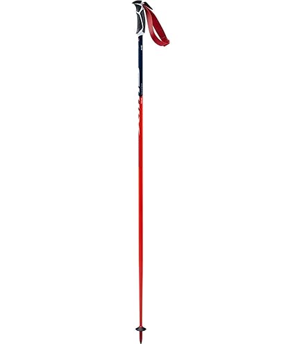 新品　SWIX スウィックス ワールドカップ アルペン ポール ストック Amazon | [スウィックス] アルペンスキー ポール ALPINE POLE ワールド
