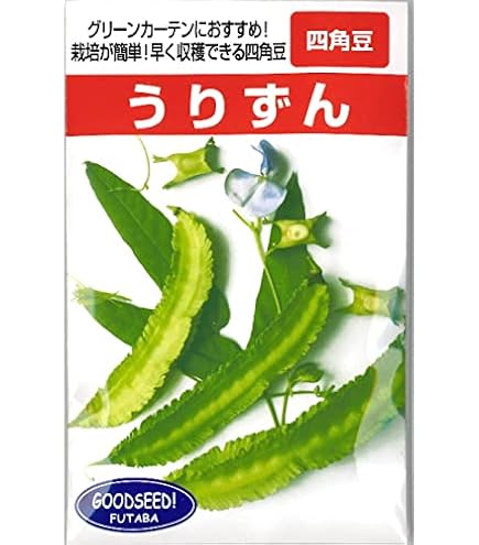 豆ガシャ本　豆六法　6種　コンプリートセット 新品 豆六法 コンプリートセット コンプ 豆ガシャ本 豆本 ガシャポン