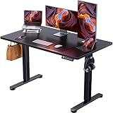 ErGear 電動 昇降式デスク スタンディングデスク 幅120cm 耐荷重80kg 高さメモリー機能 上下自動昇降 衝突検知 静音