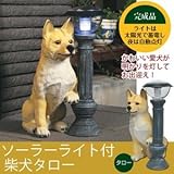 LEDセンサーライト付きオーナメント/ソーラーライト付き柴犬(タロー) ポリジレン樹脂製 〔玄関/ガーデニング/屋外〕