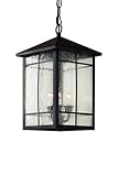 Trans Globe Lighting 40344 ROB Atrium Window Hanging Lantern, 15, Rubbed Oil Bronze by Trans Globe L