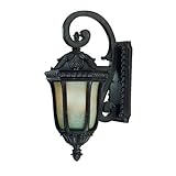 Alico Lighting 702MM Acclaim Lighting Marbleized Mahogany Finished Outdoor Sconce with Florentine Sc