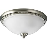 Progress Lighting P3479-09 2-Light Close-To-Ceiling with Etched Watermark Glass and Twisted Wire Det