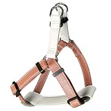 Beanspet 犬用レザーハーネス 中型犬 大型犬 胸当てパッド付き 本革風 マイクロファイバーレザー 4サイズ 4カラー 調整可能 おしゃれ 散歩用 (ブラウン, XS)