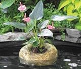 サミットケミカル社大麦ストロープランター500ガロン - 1138