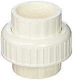 B and K Industries 164-138 2-Inch PVC Schedule 80 Threaded Union [並行輸入品]