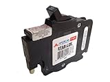 American/Federal Pacific Circuit Breaker 1-Pole 20-Amp Thin Series [並行輸入品]