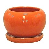 【6個入】インテリアポット(植木鉢/プランター) アイシー ボール型/14cm 穴有/受皿付 オレンジ 〔ガーデニング用品/園芸〕 生活用品 インテリア 雑貨 花 ガーデニング プランター top1-