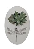 Creative Co-Op Ceramic Wall Flower Pot with Dragonfly 4.5L x 7H [並行輸入品]