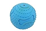 Durable Squeaky Balls for Dogs Squeaker Dog Toys,large [並行輸入品]