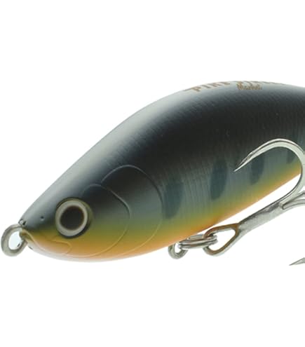 Amazon.co.jp: Tackle House Sinking Shad, 2.8 inches (70 mm