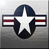 Rikki Knight RK-8intilec-8933 8' X 8' United States Air Force Logo Design Ceramic Art Tile [並行輸入品]