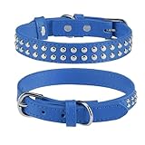 BINGPET 犬 首輪 ペット用品 ベーシック 犬首輪 本革 スタッズ付き 犬の首輪 いぬ 犬くびわ 小型犬 中型犬 大型犬 柴犬 秋田犬 (ブルー Mサイズ)