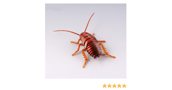 Amazon カプセルqミュージアム 実践 ひっつき虫図鑑 部屋の壁の昆虫王国 4 クロゴキブリ 幼虫 単品 カプセル玩具 おもちゃ