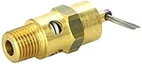 Milton 1090-150 1/4" MNPT ASME Safety Valve - 150 PSI Pop off Pressure [並行輸入品]