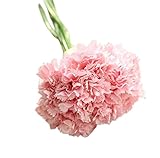 Outflower 母の日 カーネーション プロヴァンスミニチュアフラワー の 手芸 ハンド 造花 って プレゼントホーム結婚式の 飾る ラベンダー(ライトピンク)