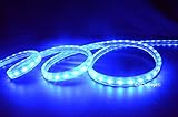 CBConcept ® 13フィート120ボルト高出力LED smd5050フレキシブルフラットLEDストリップロープライト – [クリスマス照明、インドア/アウトドアロープ照明、シーリングライト、キ