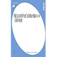 新書696集団的自衛権の深層 (平凡社新書)