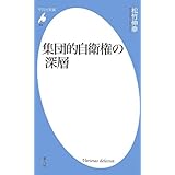 新書696集団的自衛権の深層 (平凡社新書)