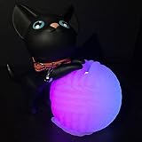合理化猫Coin Bank with LEDライト