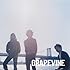 GRAPEVINE「疾走(初回限定盤)」