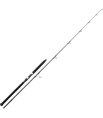 Amazon | シマノ(SHIMANO) スピニングリール 20 ステラ SW 30000