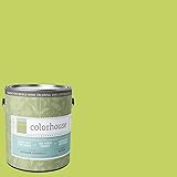 Inspired Eggshell Interior Paint, Petal .02, Gallon [並行輸入品]