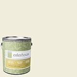 Inspired Semi-Gloss Interior Paint, Imagine .04, Gallon [並行輸入品]
