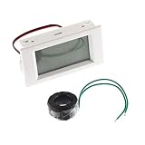 【ノーブランド 品】AC 80V〜300V 100A　デジタル　LCD　アンペア　電圧計　電流計　電圧計　白