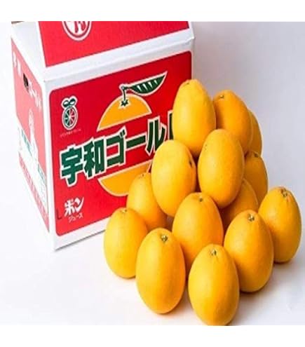 Amazon.co.jp: 【愛媛県産】訳あり 宇和ゴールド 河内晩柑 約10kg