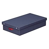 モスボックス 無臭 衣類収納 家具 収納ボックス 収納ケース 収納用品 装衣類ケース 押入れ収納 キッチン収納 リビング ダイニング収納 優れた通気性 ブル? アイリスオーヤマ