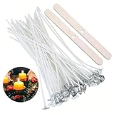 YSGenyou キャンドル 芯 100pcs 座金付き 10cm/15cm/20cm 芯固定ホルダー付き 2個 キャンドル芯 ジェルキャンドル キット 蝋燭 DIY手作り キャンドルアクセサリー キャンドルゼリー ジェルワックス キャンドルキット 手作りキャンドル 材料 (10cm)