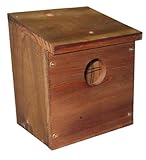 Dakota Alert BH Motion Detector Motion Detector, Brown (BH-1) [並行輸入品]