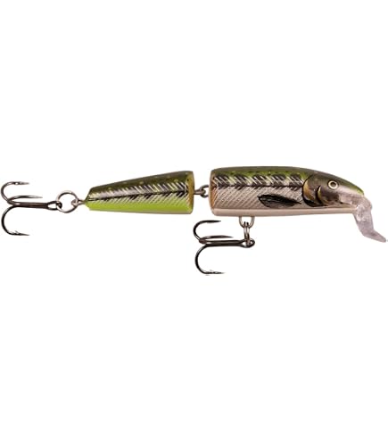 Amazon.co.jp: ラパラ(Rapala) スーパーシャッドラップ SSR14 14cm 45g