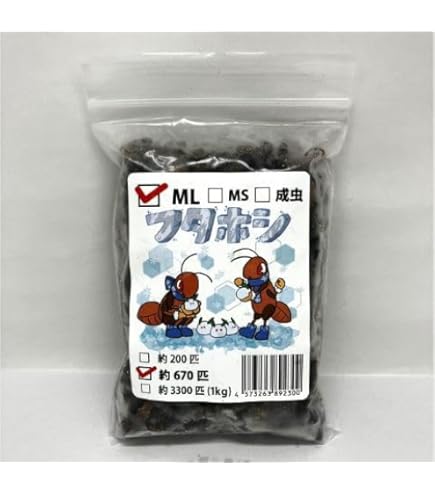 min.商品　1kg冷凍コオロギ  MLサイズ（フタホシコオロギ） 冷凍】フタホシコオロギ ML 1kg（1,600匹前後） - 赤城こおろぎ