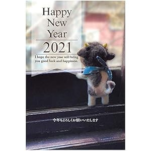 【10枚入り】令和3年(2021年)丑年 お年玉付き年賀状 フォトデザイン年賀状 PE467-10