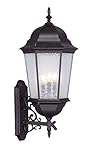 Livex Lighting 7566-07 Hamilton 3 Light Outdoor Wall Lantern, Bronze by Livex Lighting [並行輸入品]